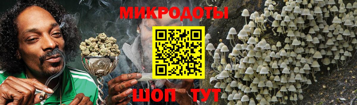 Псилоцибиновые грибы MAGIC MUSHROOMS Касимов