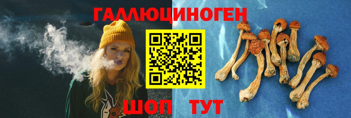 Галлюциногенные грибы ЛСД  Вход с VPN  купить наркоту  Касимов 